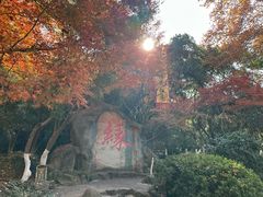 -杭州黄龙洞