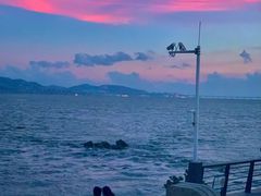 -深圳湾公园(南山区)