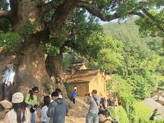 -杨家堂村