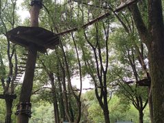-WeLope紫金山探险公园
