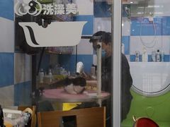 -秀猫阁·猫咪花园(万达店)