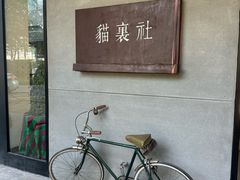 -猫里有甜