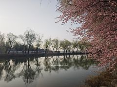 -颐和园