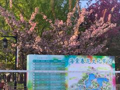 -陶然亭公园