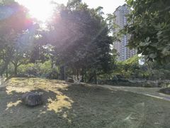 -金山公园