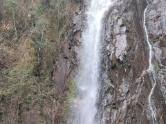 -姑婆山旅游区