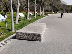 -尚贤河湿地