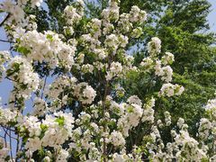 -野鸭湖国家湿地公园