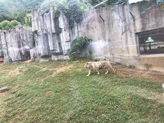 -无锡动物园·太湖欢乐园