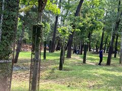 -秦皇岛野生动物园
