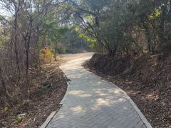 -青龙山国家森林公园