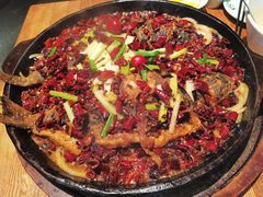 老板恋上鱼-老板恋上鱼(高新万达店)