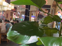 -禾绿回转寿司(苏宁广场店)