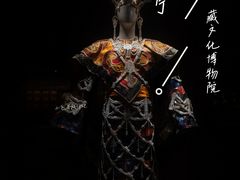 -青海藏文化博物院