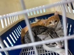 -达爱动物医院·犬猫分区·CT·复杂眼科(远洋山水分院)