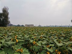 -中国天府农业博览园