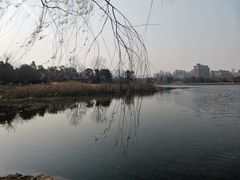 -武汉园博园(武汉自然博物馆)