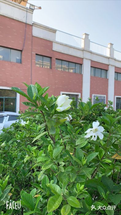 荆州市机械电子工业学校图片