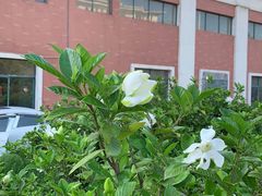 -荆州市机械电子工业学校