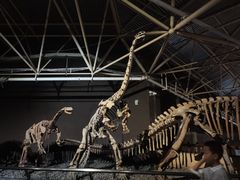 -世界恐龙谷景区