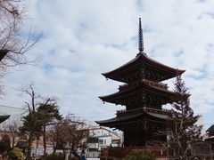 -医王山·飞騨国分寺