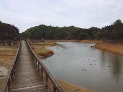 -千岛湖龙川湾