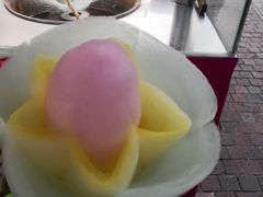 -东部华侨城