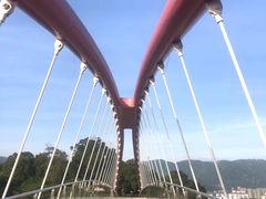 -金鸡山公园