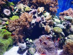 -珠海长隆海洋王国