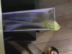 -九鼎轩脆毛肚火锅(南京东路店)
