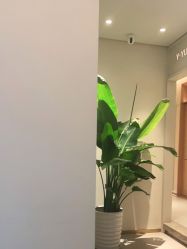 -苑苑vbeauty科技美容SPA