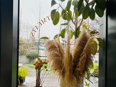 -考文甜品研究社