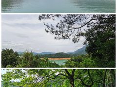 -广州市流溪河国家森林公园