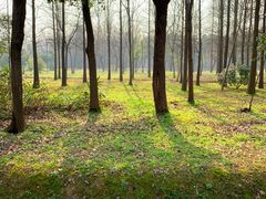 -蜀冈西峰生态公园