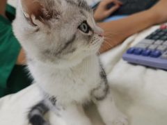 -瑞鹏·疫苗·绝育·宠物医院(金沙洲店)