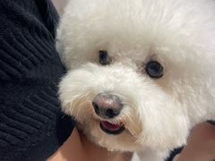 -深圳湾万象城(南山店)