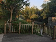 -上海浦东康桥绿地假日酒店