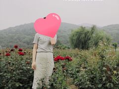 -龙寺生态园
