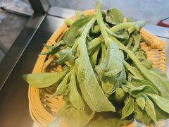 -生活如沸·顺德水牛奶火锅(大学路店)
