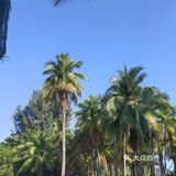 ‼️春节想来三亚旅游的必打卡餐厅🍲