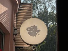 -WHEN PIGS FLY当猪飞