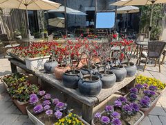 -瓦库茶馆17号(海汇港店)