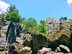 -梭布垭石林景区