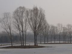 -大兴滨河森林公园