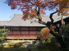 -醍醐寺
