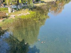 -桔子酒店(南京夫子庙张府园地铁站店)