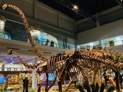 -自贡恐龙博物馆