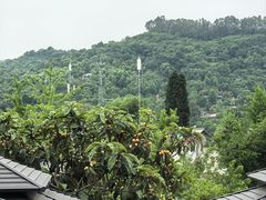 -桃源山庄·水蜜桃采摘·柴火鸡·烧烤团建(龙泉山店)