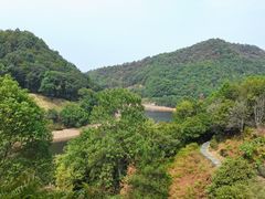 -桃花岭景区