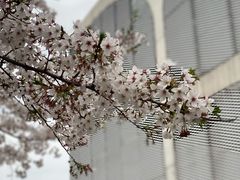 -龙美术馆(西岸馆)